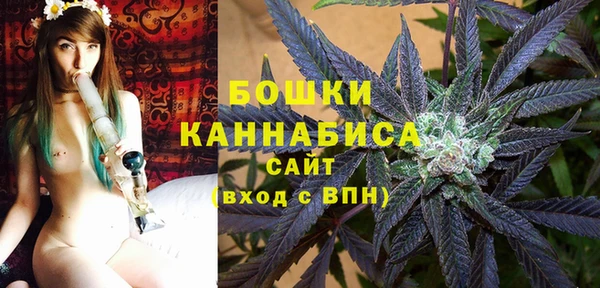 прущие грибы Осинники