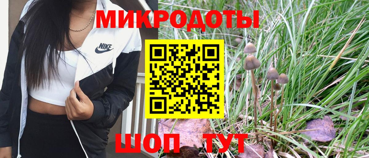 Галлюциногенные грибы ЛСД  Галлюциногенные грибы Psilocybine cubensis  Вход с VPN  Благовещенск 