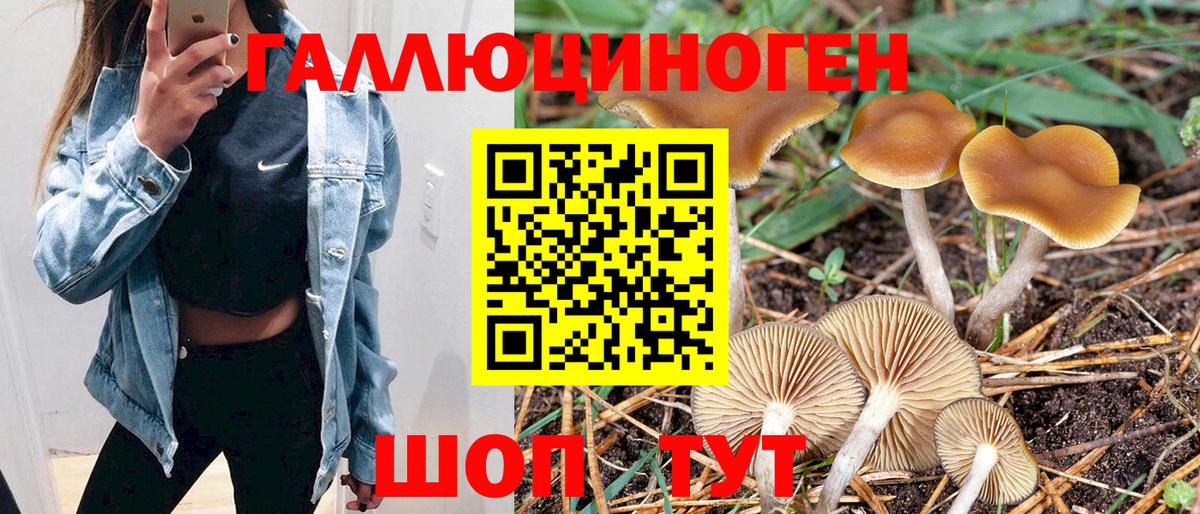Псилоцибиновые грибы Magic Shrooms Благовещенск