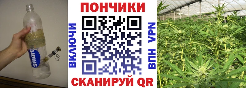 Конопля марихуана Благовещенск